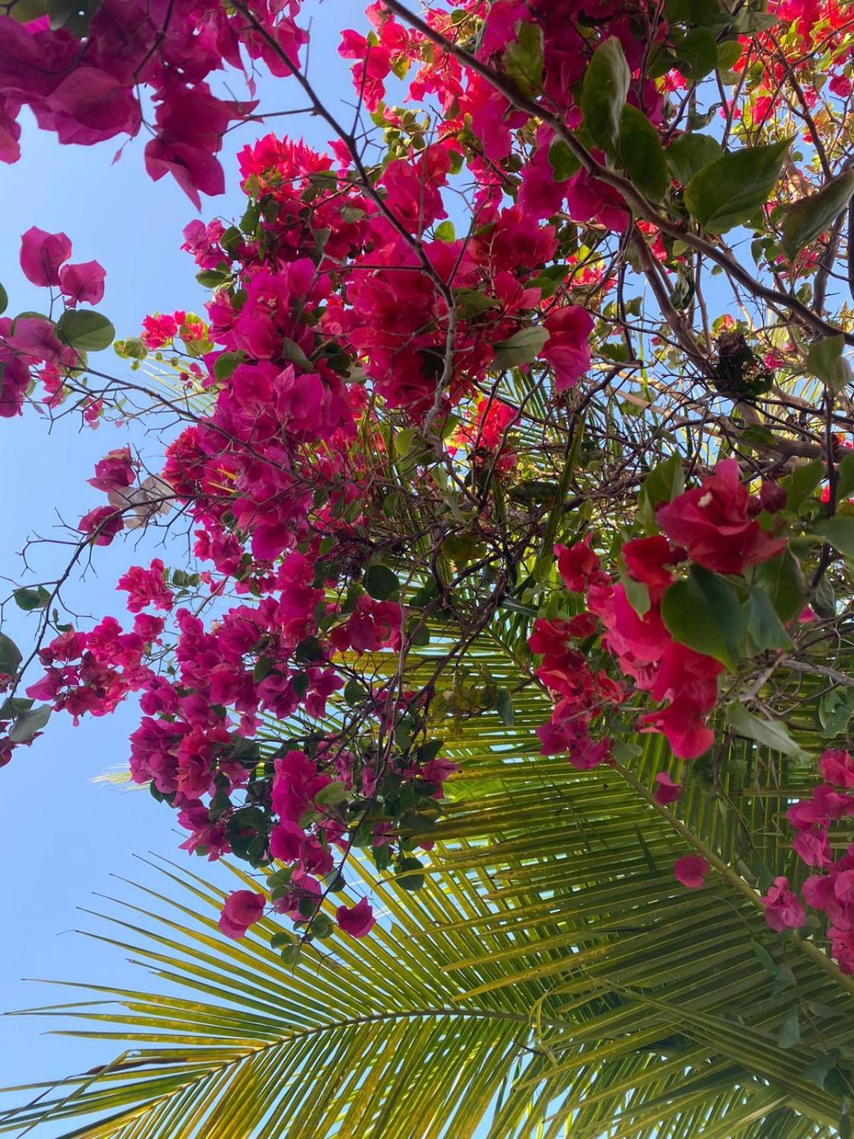 Moreira'S Paradise Taiba Ngoại thất bức ảnh
